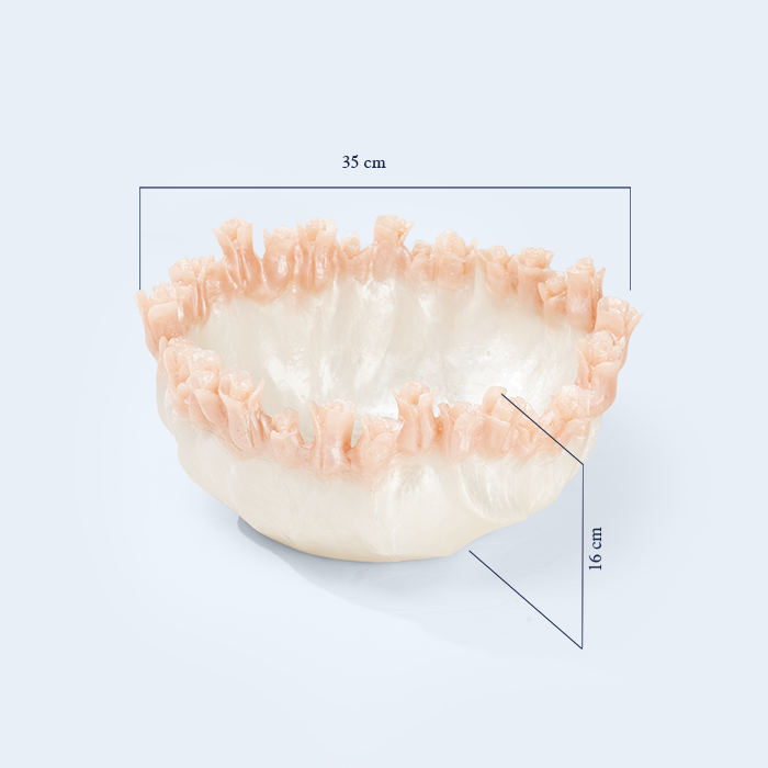 Coral Bowl