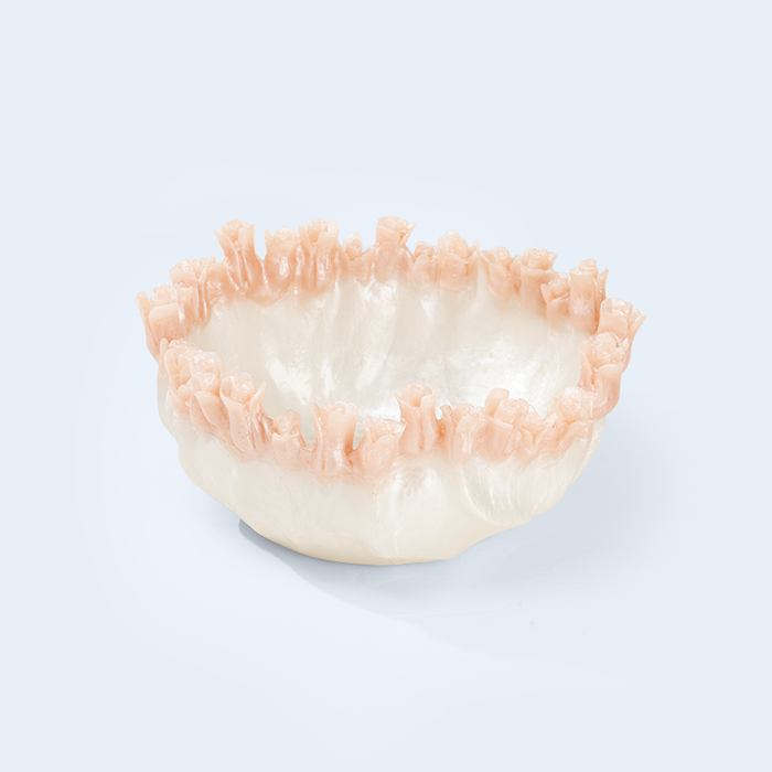 Coral Bowl