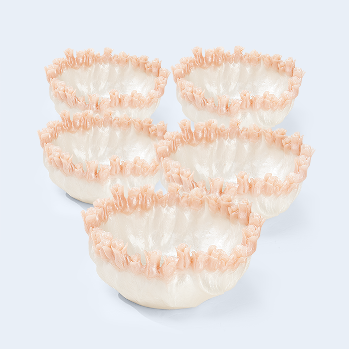 CORAL BOWL - SET - 5